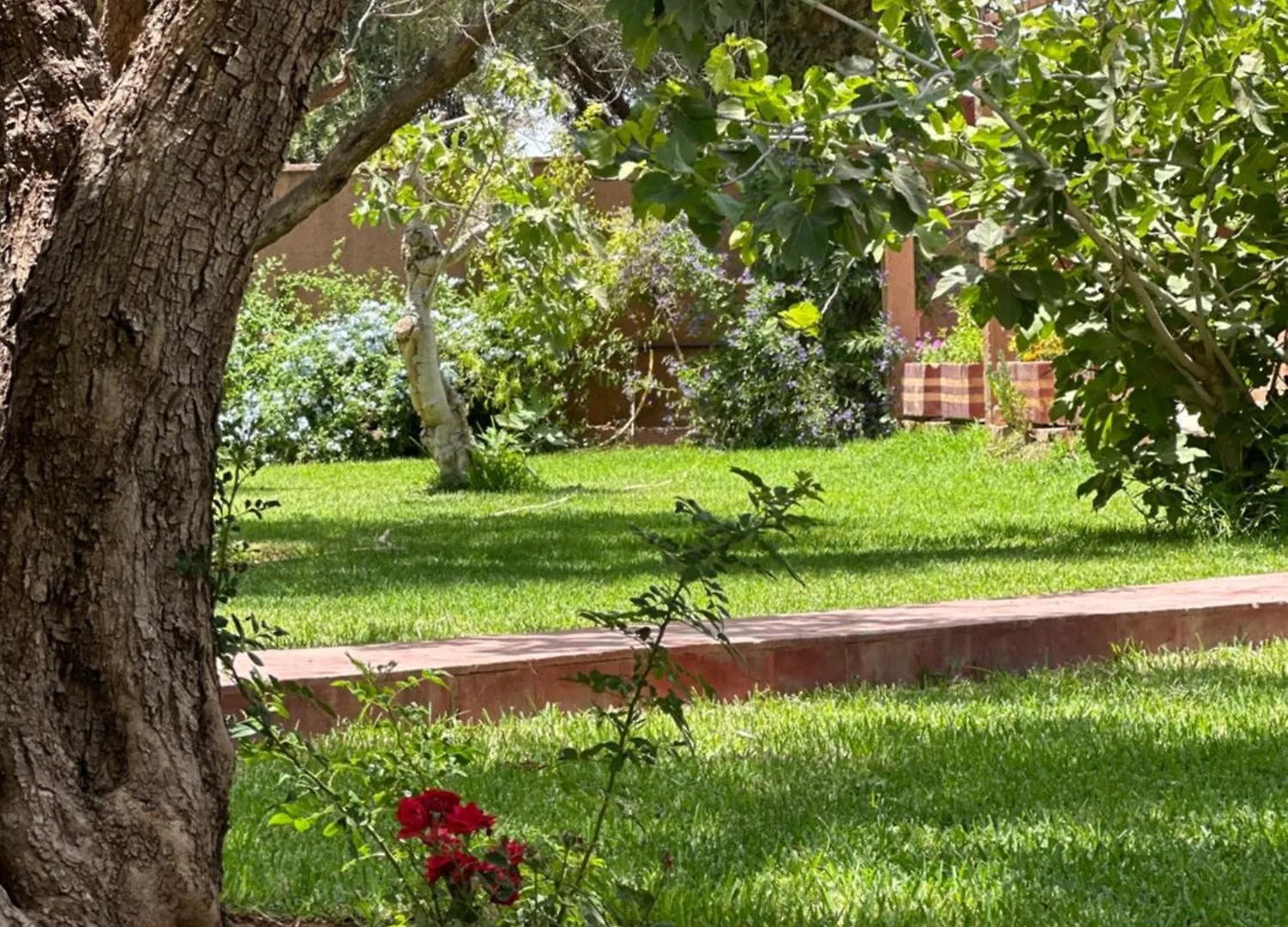 Maison Chaliya Amezrou Morocco